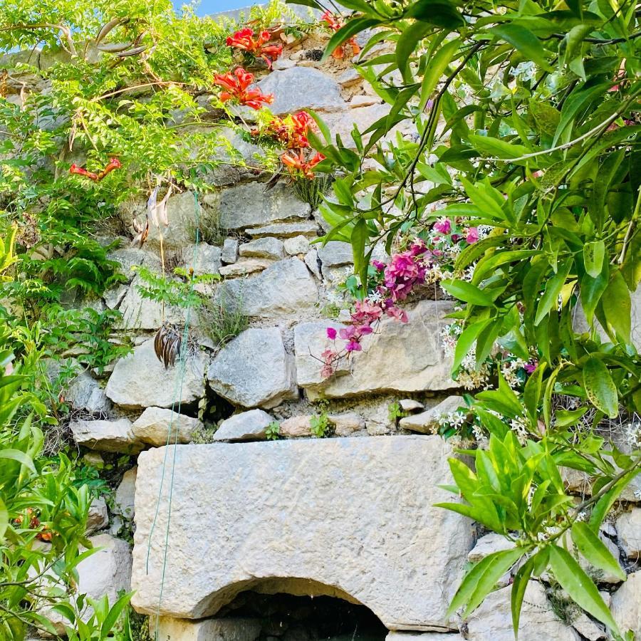 Villa In Gargano - Villa Basso モンテ・サンタンジェロ エクステリア 写真