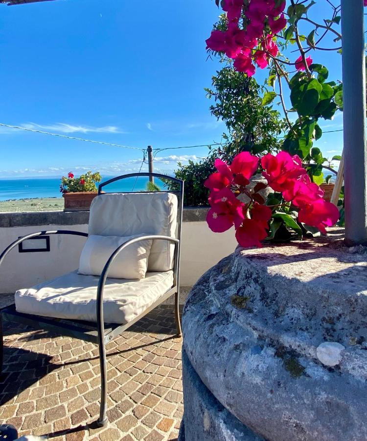 Villa In Gargano - Villa Basso モンテ・サンタンジェロ エクステリア 写真